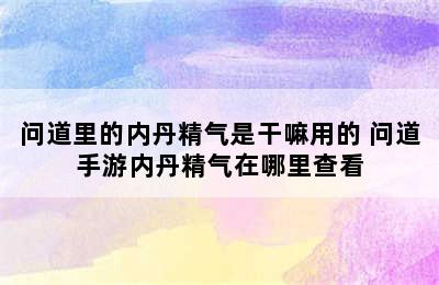 问道里的内丹精气是干嘛用的 问道手游内丹精气在哪里查看